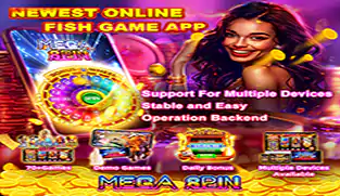 How to Start an Online Fish Table Business - Mega Spin Sweeps